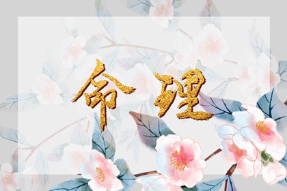 老皇历万年历 皇历查询 皇历择吉
